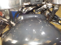 DSCN5534