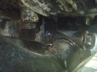 P1040329