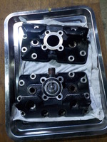 DSCN4224