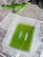 DSCN3069