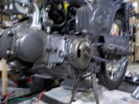 DSCN3901