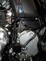 DSCN4002