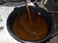 DSCN5260