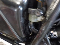 DSCN3549