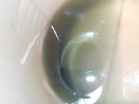 DSCN5737