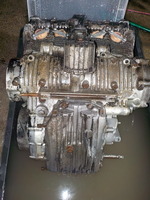 DSCN2783