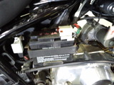 magna50 (2)