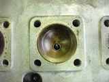 DSCI0024