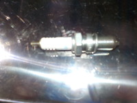 DSCN8589