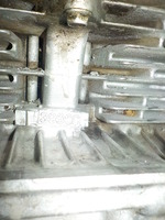 DSCN7061