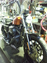 hd-xl883r20120218ws (1)