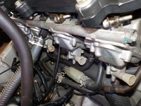 DSCN4474