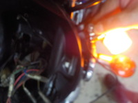 DSCN8996