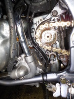 DSCN6367