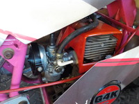 DSCN5231