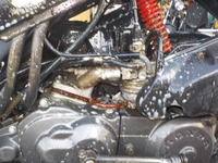 DSCN0579