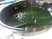 DSCN4548