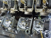DSCN5066