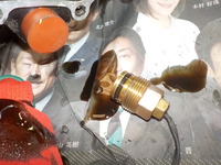 DSCN0366