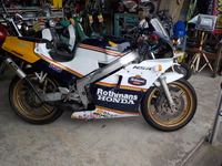 DSCN5101