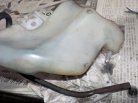 DSCN3683