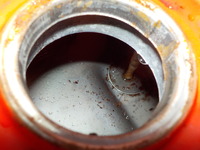 DSCN4530