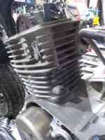 DSCN3181