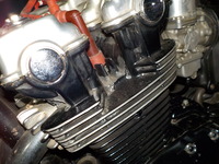 DSCN1294