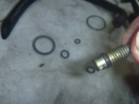 P1080589