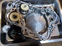 DSCN3192