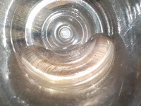 DSCN5744