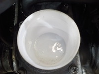 DSCN5436