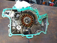 DSCN6904