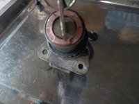DSCN7069