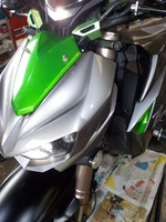 DSCN5669