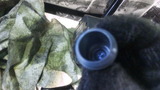 DVC00057