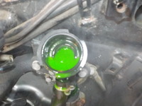 DSCN0581