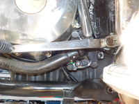 DSCN3519