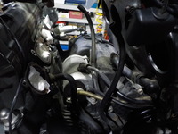 DSCN4323