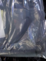 DSCN8769