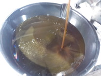 DSCN2597