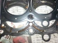 DSCN5403