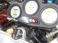 DSCN5600