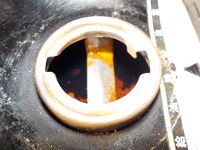 DSCN6688