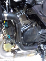 DSCN7160