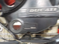 DSCN5653