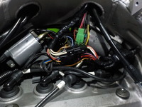 DSCN3540
