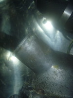 P1250729