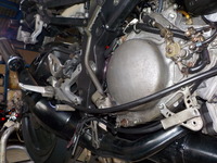 DSCN7178