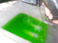 DSCN7890